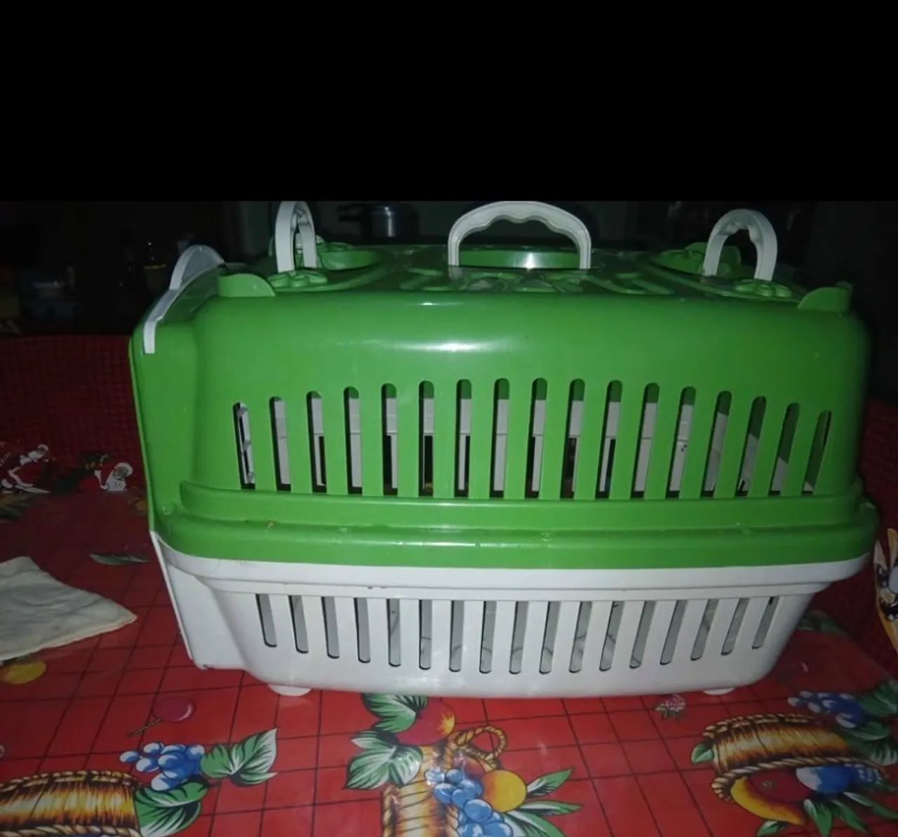 Caixa de transporte Pet grande 