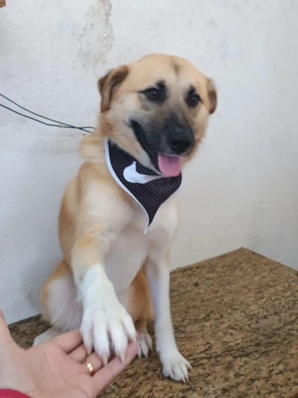 Doaçao