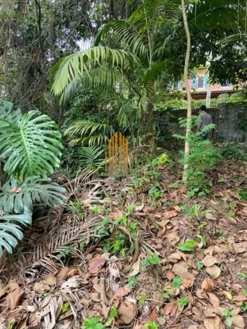 Terreno em São Paulo - Foto 3