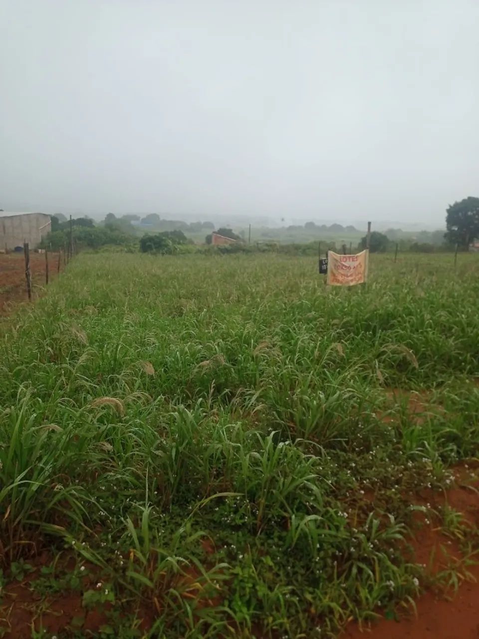 VENDO 2 TERRENOS NO SITIO LAGOA CAVADA EM ARAPIRACA - AL 220