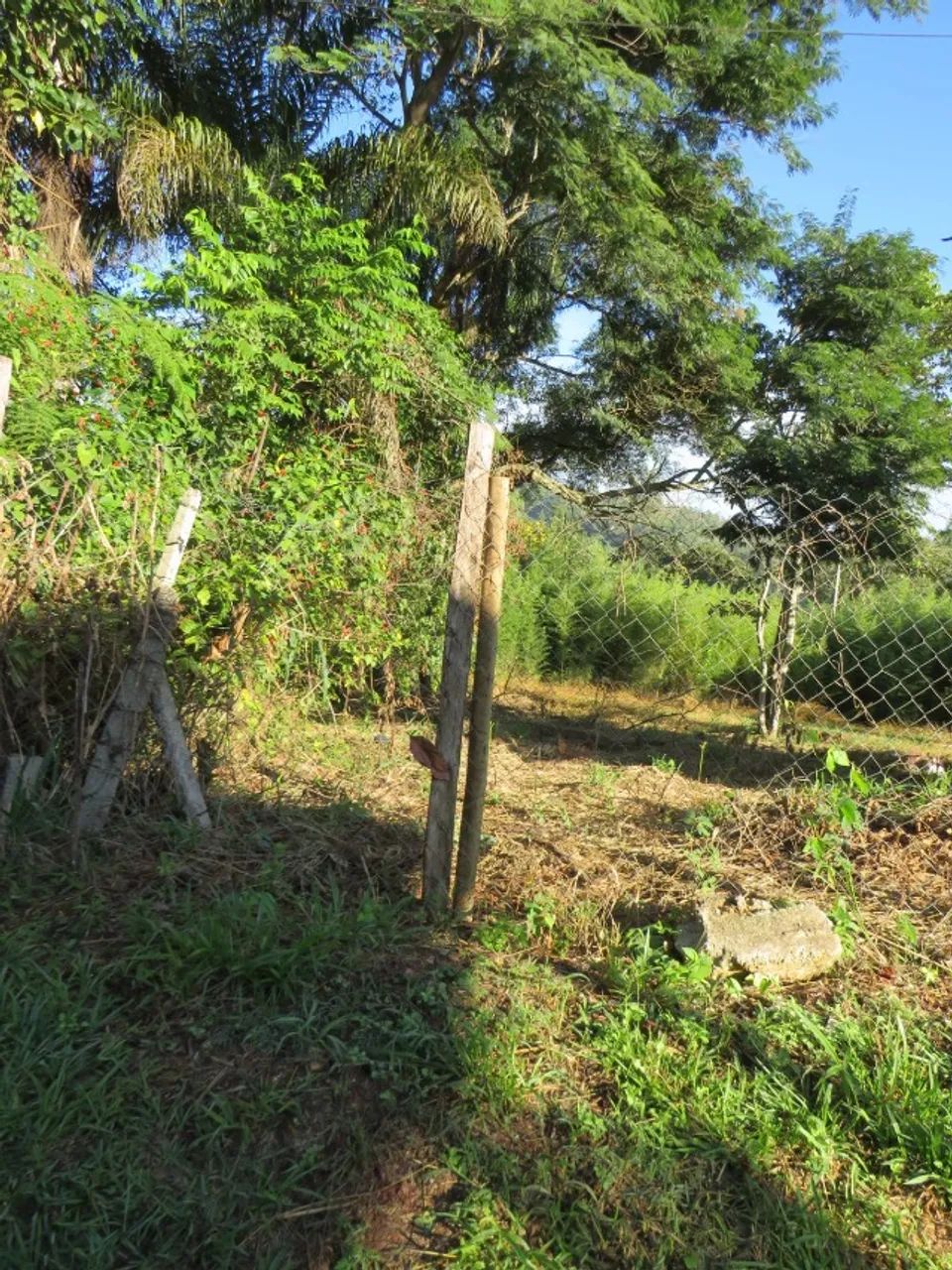 Terreno 850 m2 em Franco da Rocha - Foto 4
