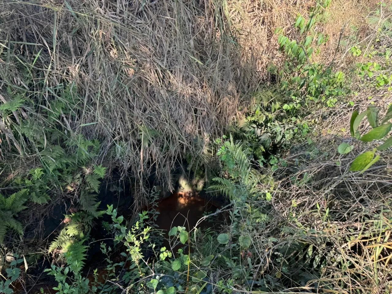 Terreno com água no fundo  - Foto 3