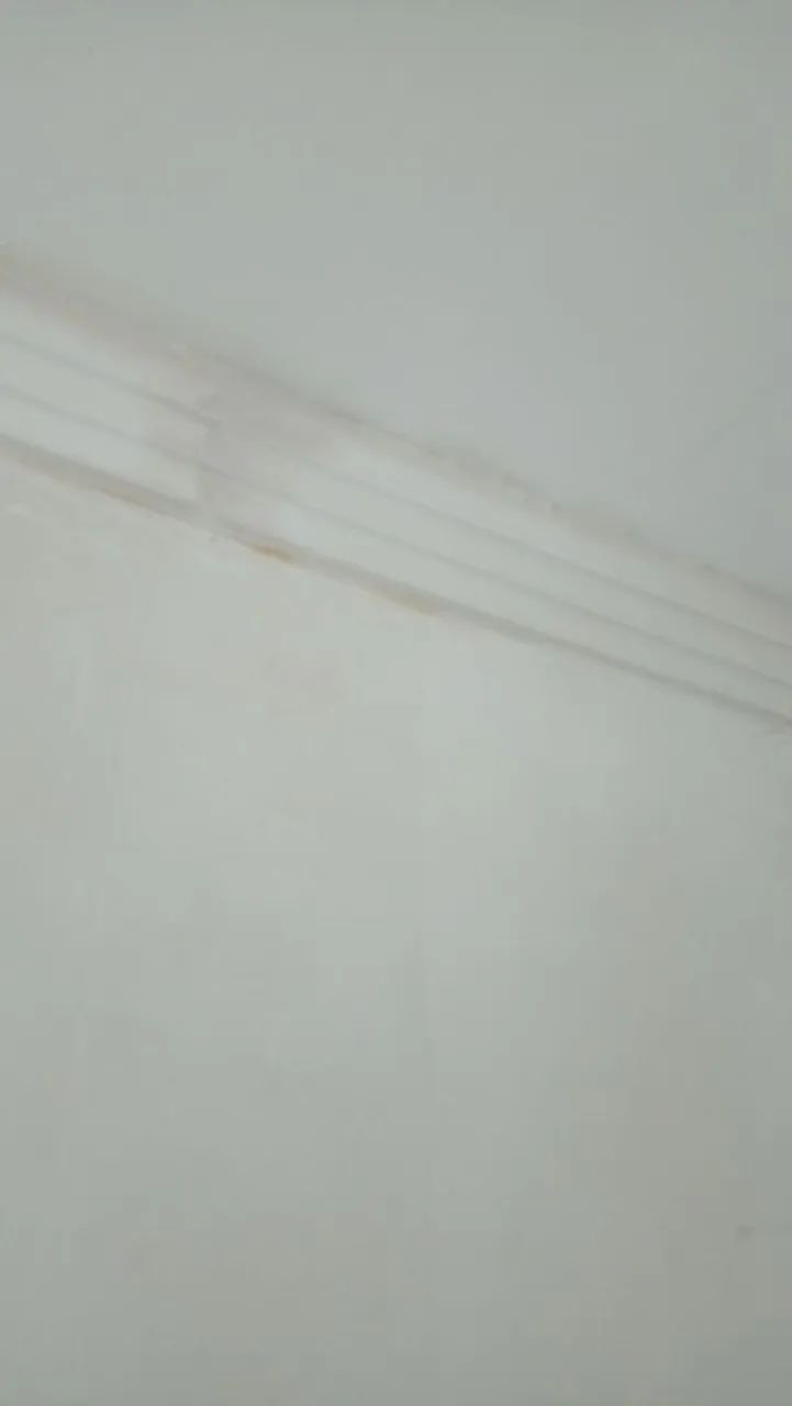 Júnior Gesso  - Foto 5