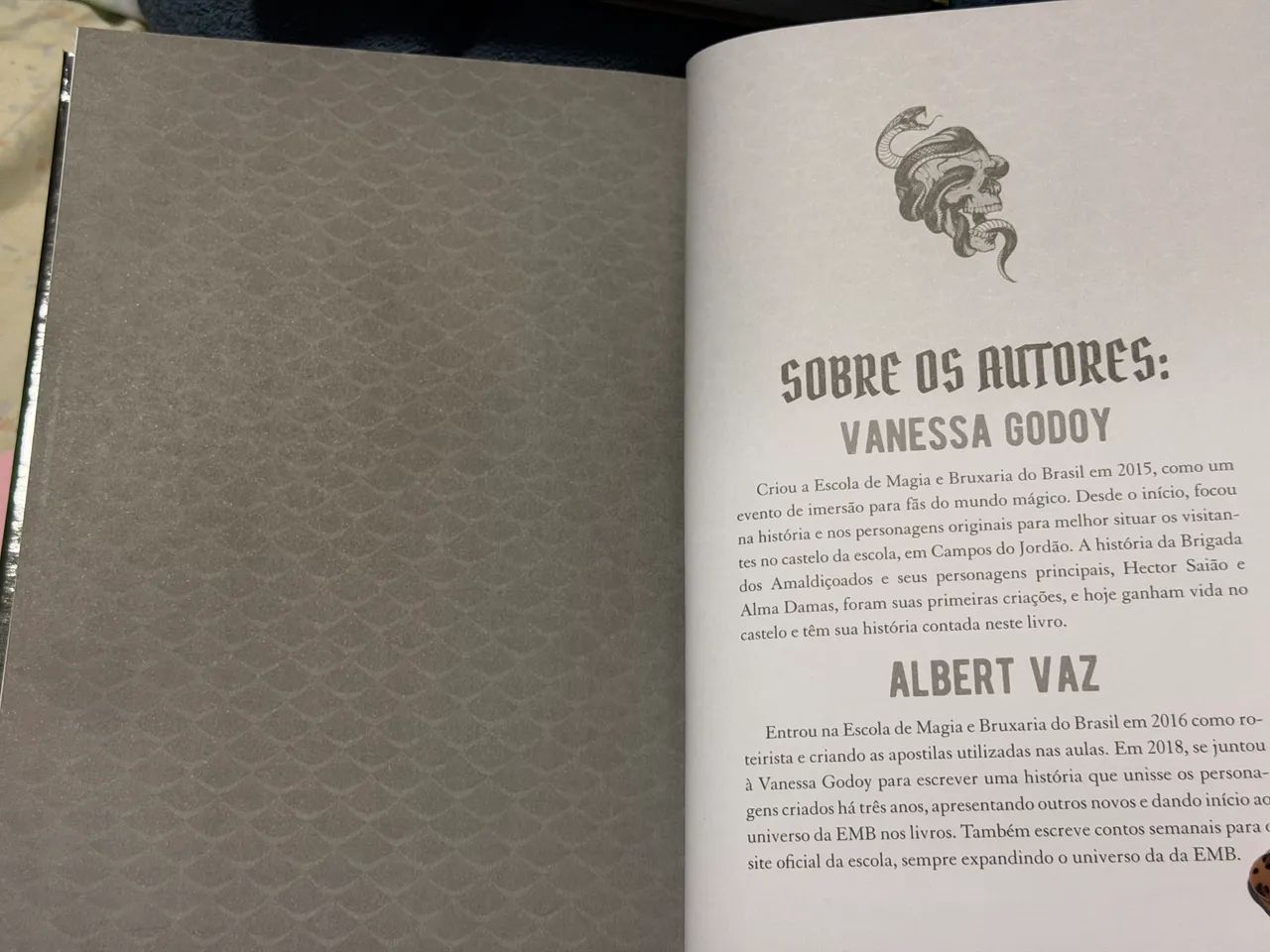 Livro brigada dos amaldiçoados  - Foto 2