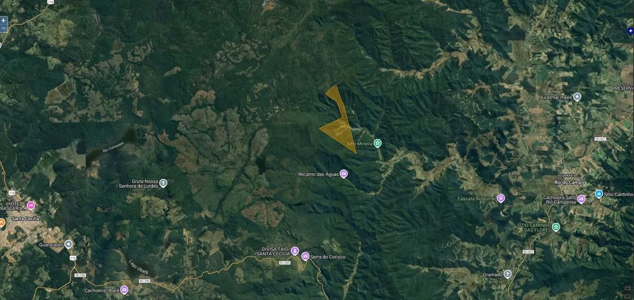 Área de mata para reserva ambiental. 