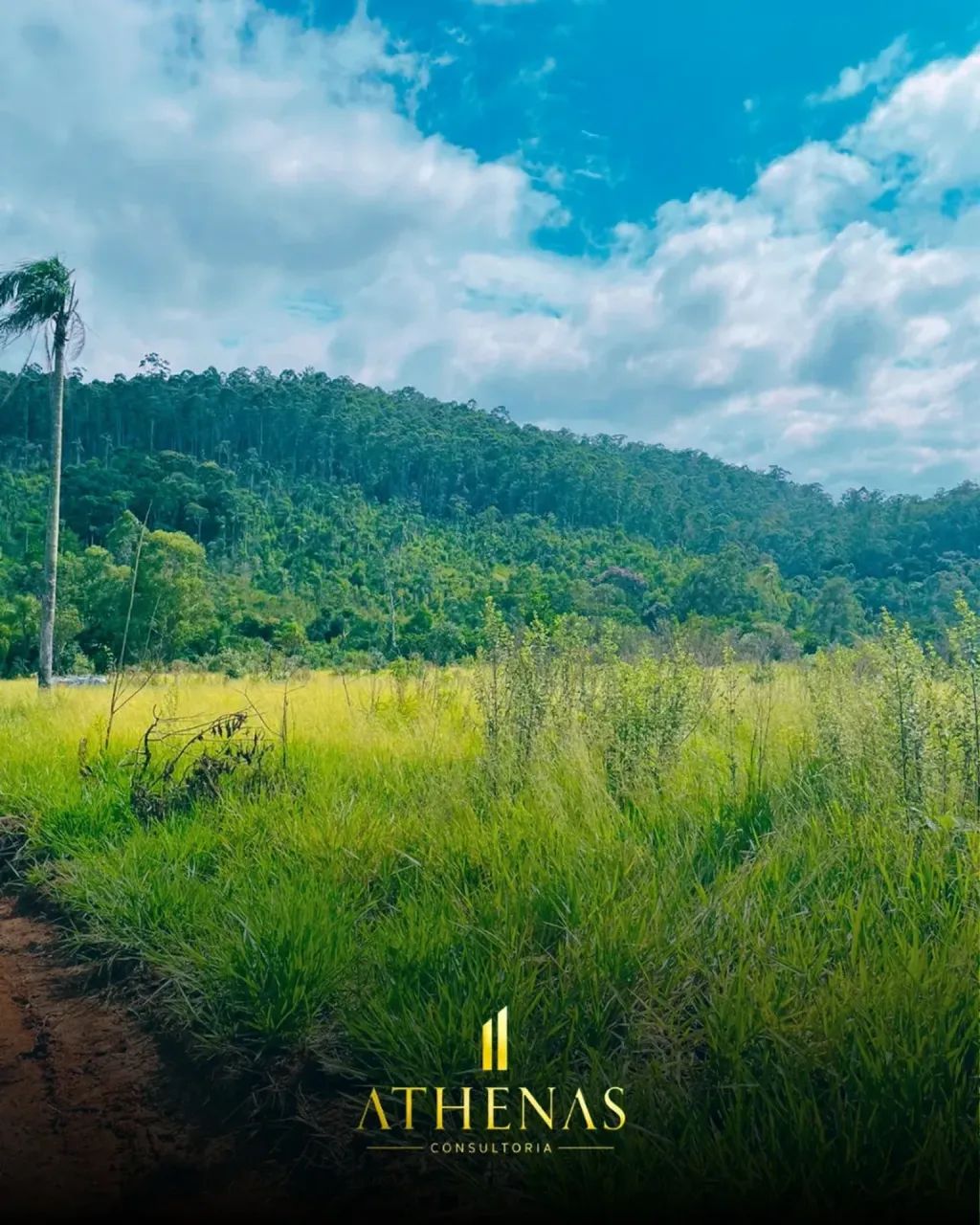 TERRENOS EM EXCELENTE LOCALIZAÇÃO - Foto 5