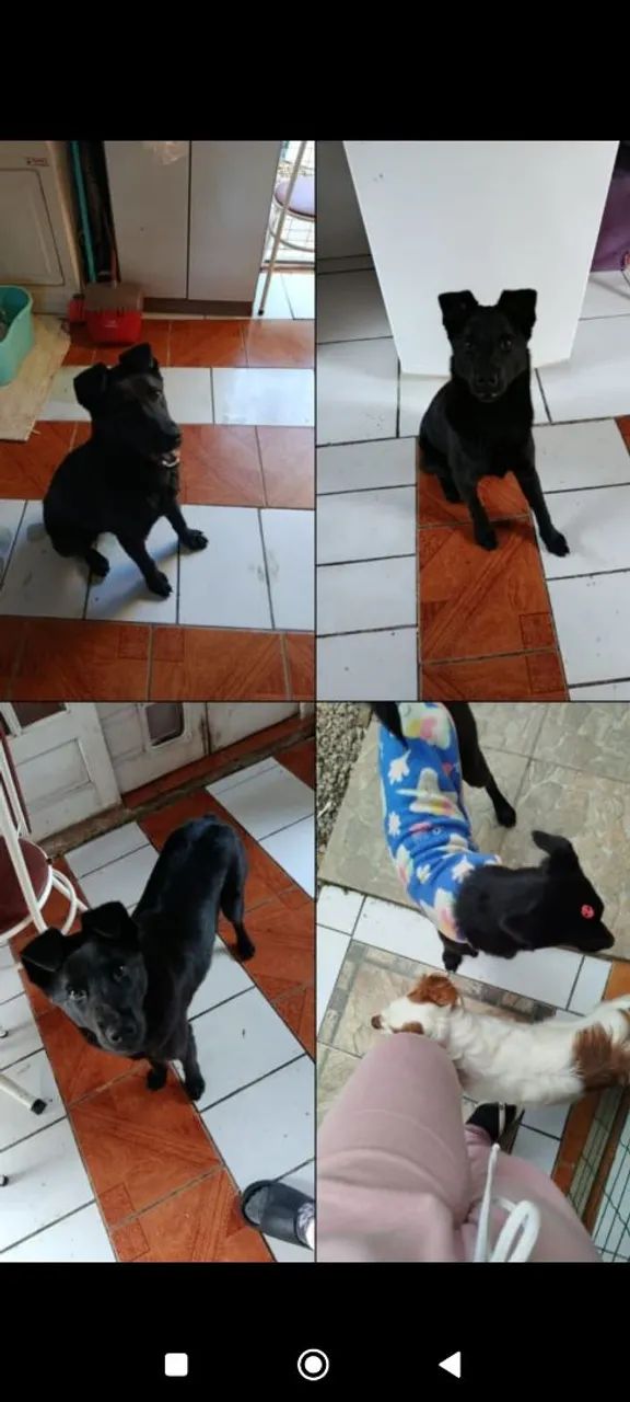 DOAÇÃO RESPONSÁVEL - Foto 2