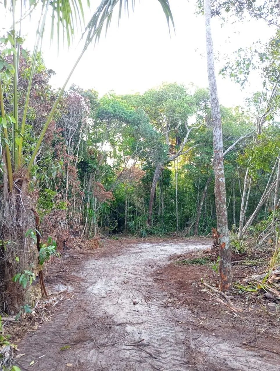 Vendas de Lotes com igarapé, para chácaras e sítio, Terreno na Av Princ em vila de Lindóia