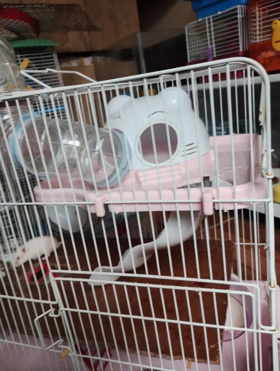 Hamster e gaiola - Foto 5