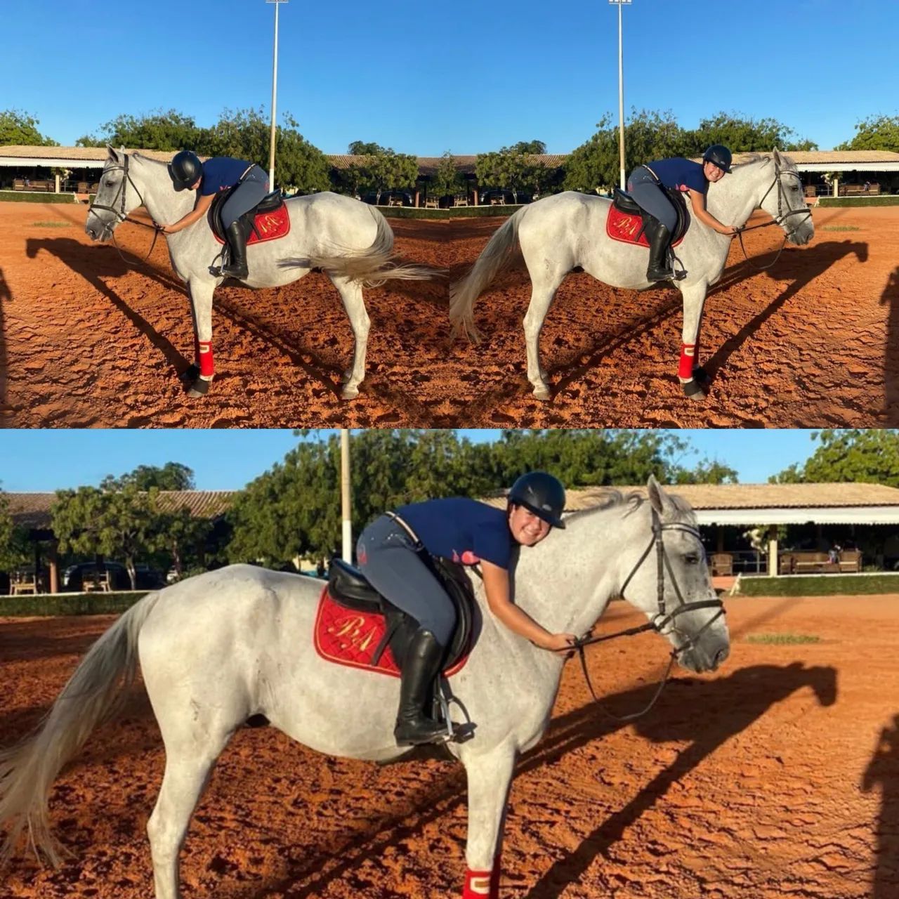 Vendo cavalo brasileiro de hipismo  - Foto 4