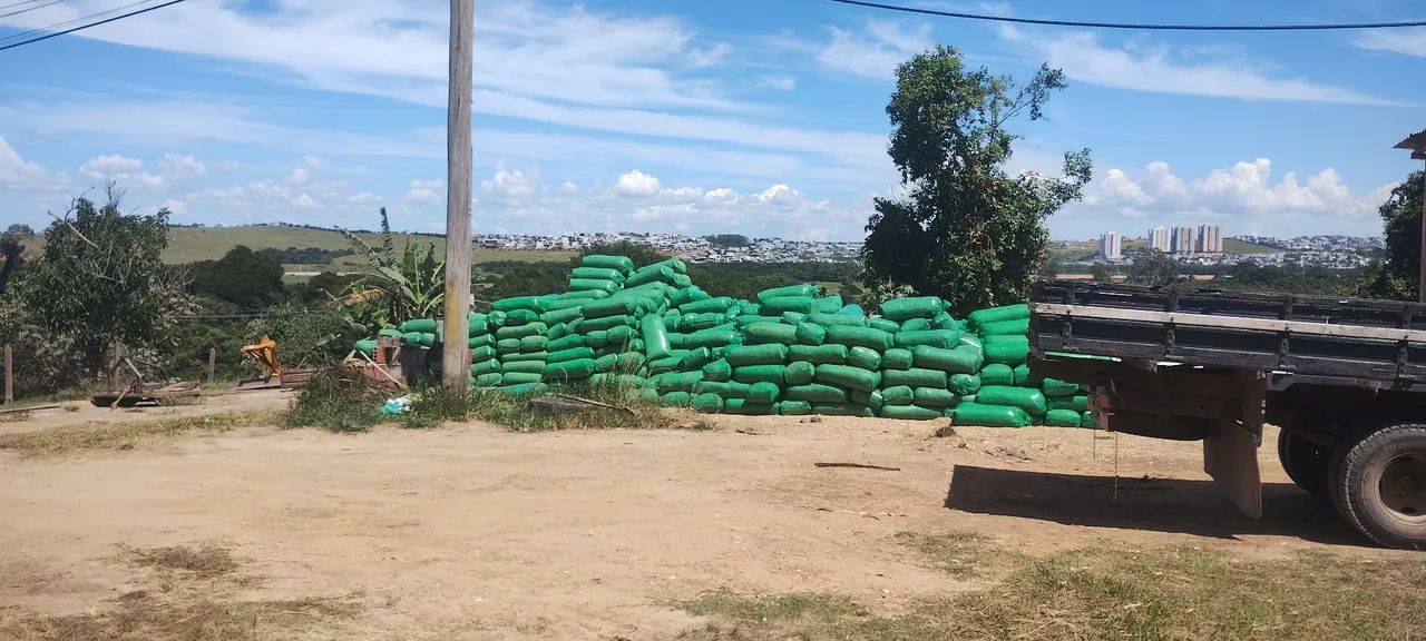 Silagem de milho ? ensacada  - Foto 3