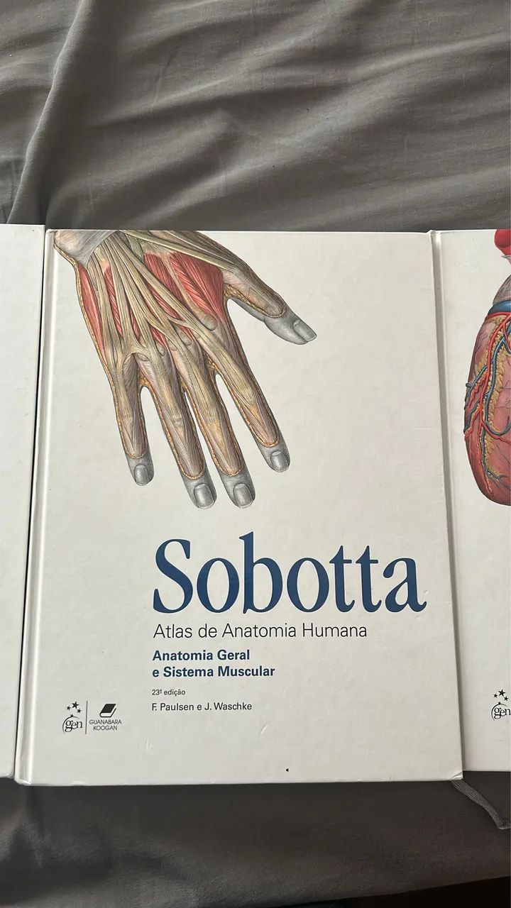 Sobotta - Foto 2