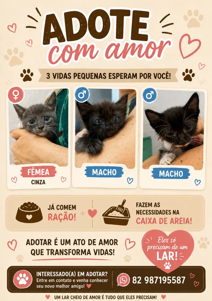 DOAÇÃO DE GATOS 