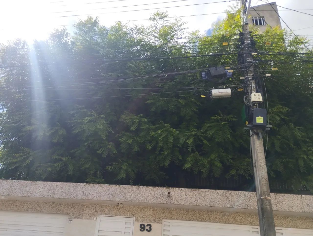 Jardinagem  - Foto 2