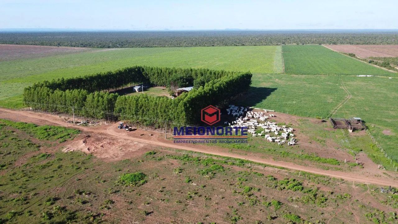## Fazenda à Venda ## - Foto 3