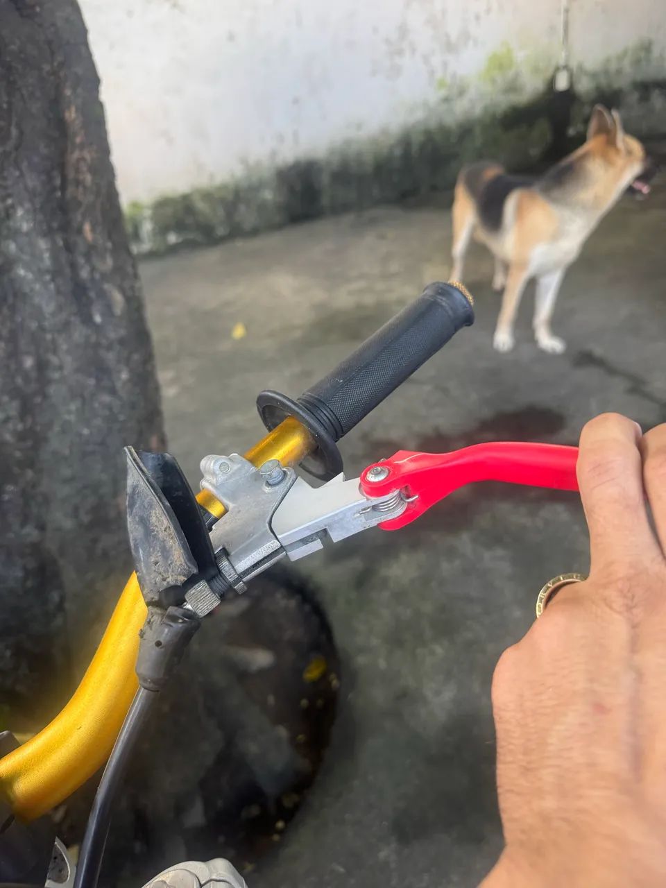 CRF 250 F - Foto 5