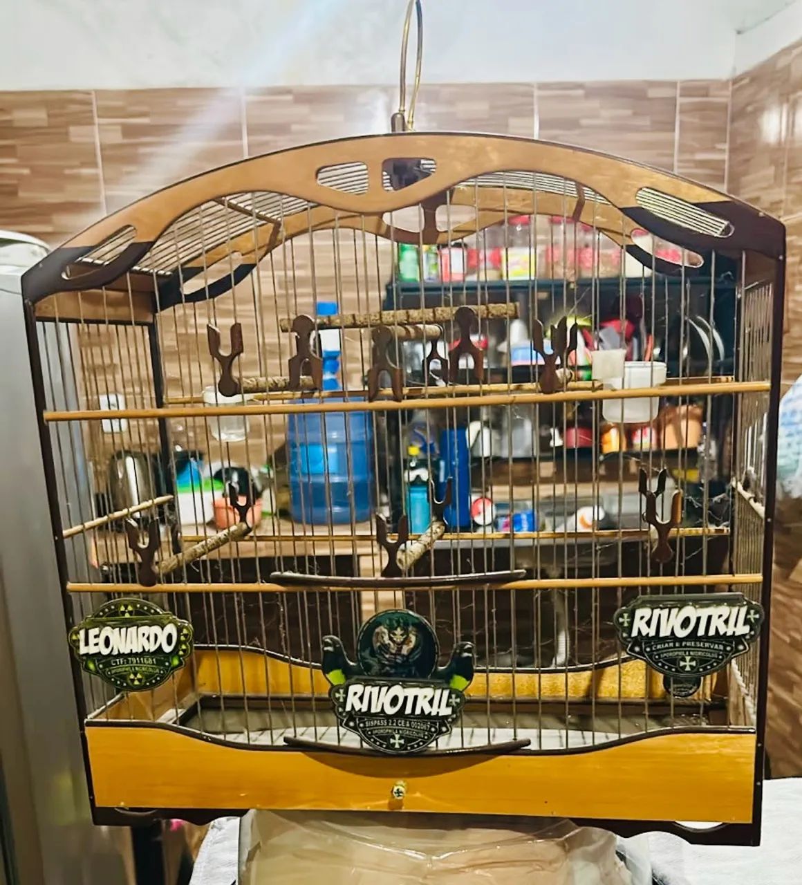 Gaiolas e voadores  - Foto 4