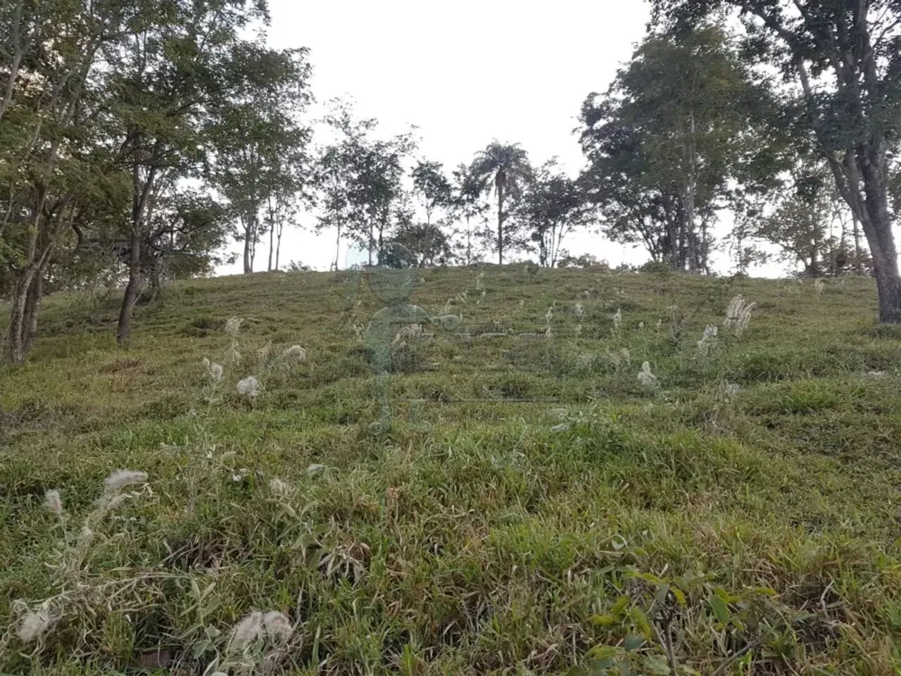 Terreno de 5.000m² em Delfinópolis - Foto 5