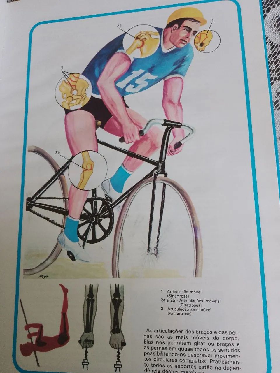 Atlas de anatomia  - Foto 5