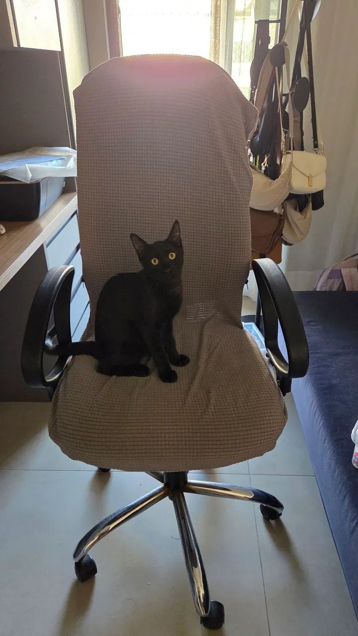 Cadeira escritório de couro - Foto 3