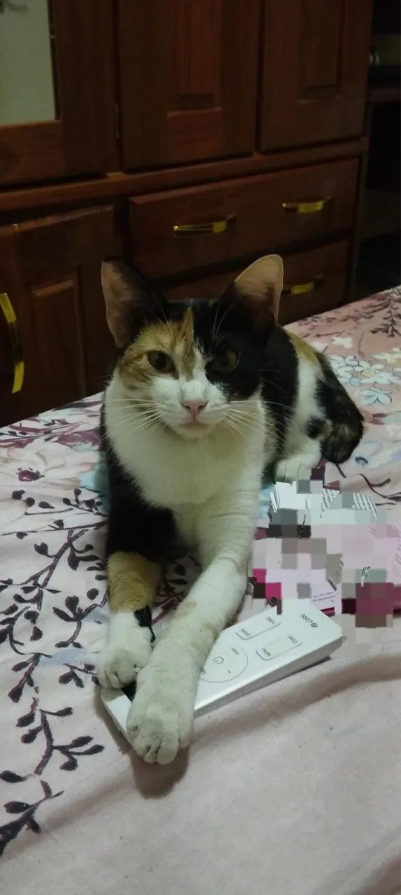 DESAPARECIDA / TEM RECOMPENSA 