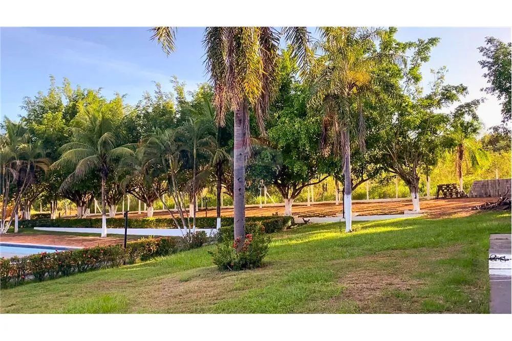 Chácara de Lazer - Jardim Atlântico! - Foto 3