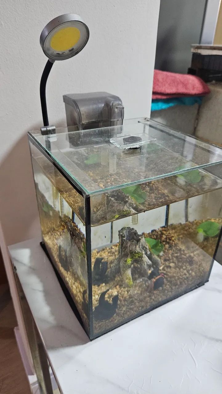 VENDO AQUÁRIO 7 LITROS ( BETTA) - Foto 3