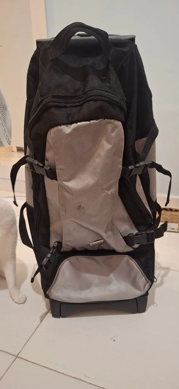 Bolsa de Rodinhas