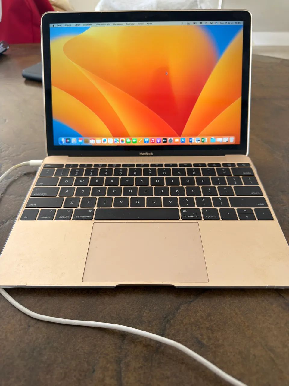 MacBook 2017 1,2 GHz Intel Core m3 Dual-Core Intel HD Graphics