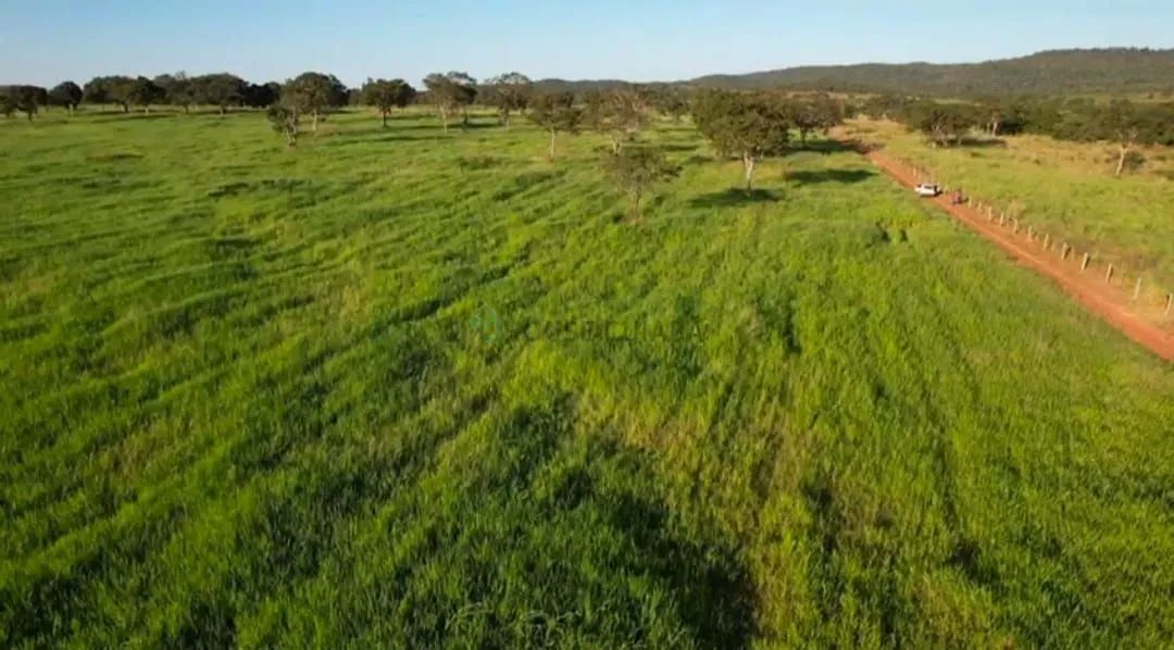 Fazenda Próximo da cidade de Jangada MT. - Foto 3