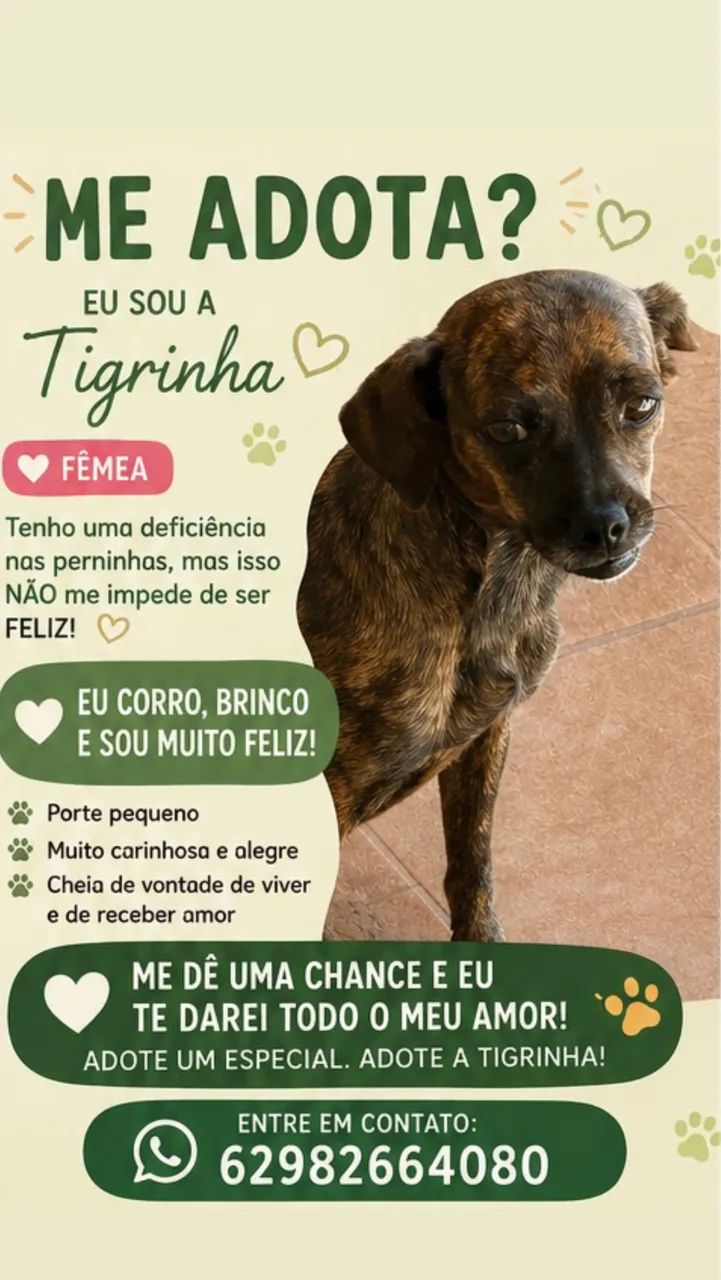 Doação responsável  - Foto 2