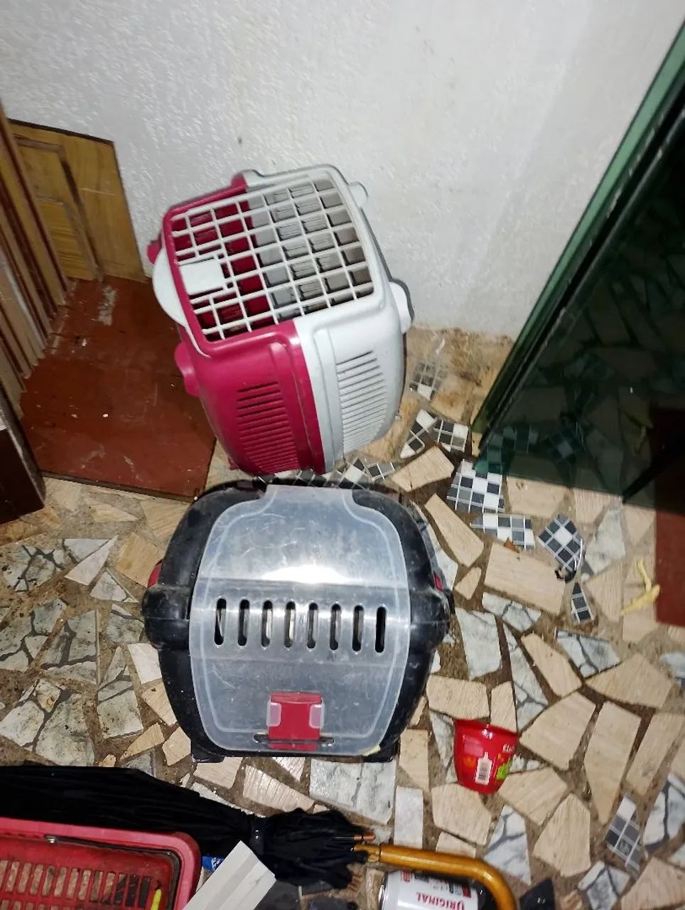 Caixa transporte pet - Foto 3