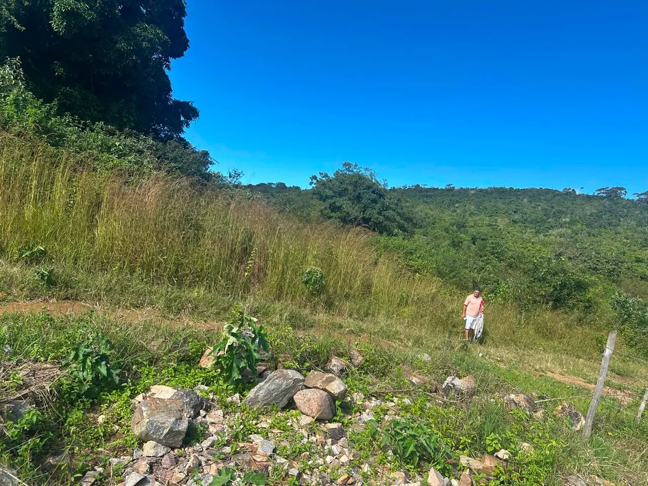 VENDO TERRENO EM MULUNGU - CE  - Foto 5