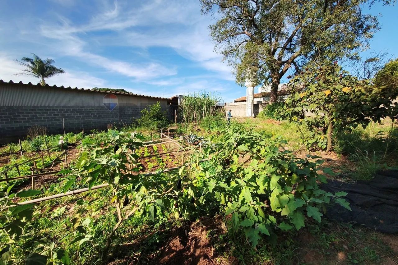 Terreno 857,461 m² Totalmente Murado - Artur Nogueira - Foto 4