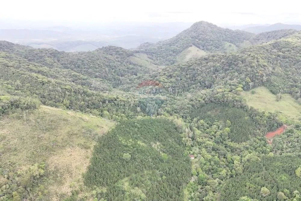 Fazenda N. Sra. de Guadalupe - Foto 2