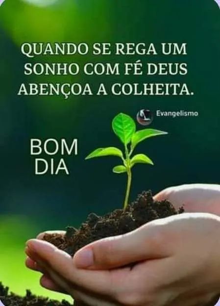 Doméstica em Goiânia 