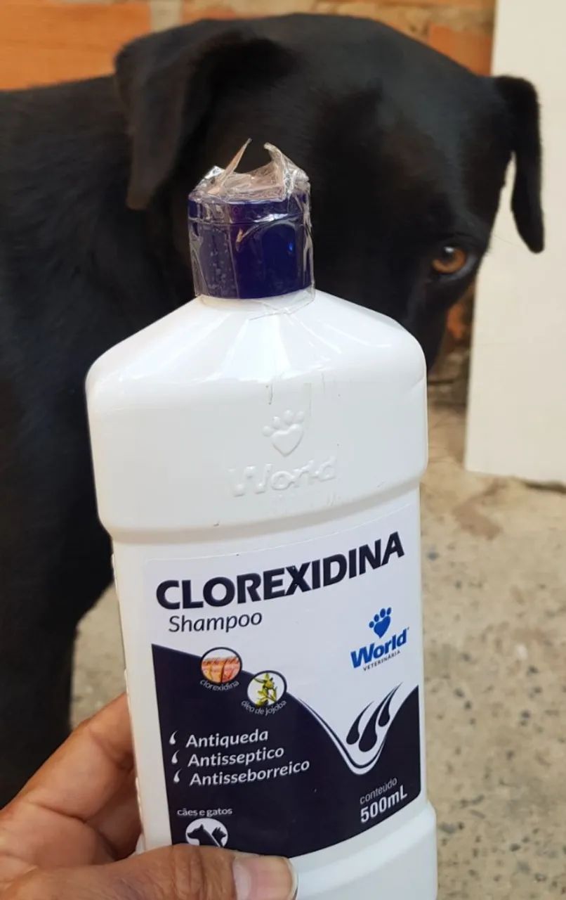 Shampoo Clorexidina Para Cães e Gatos 500 ml Word Veterinária - Foto 2