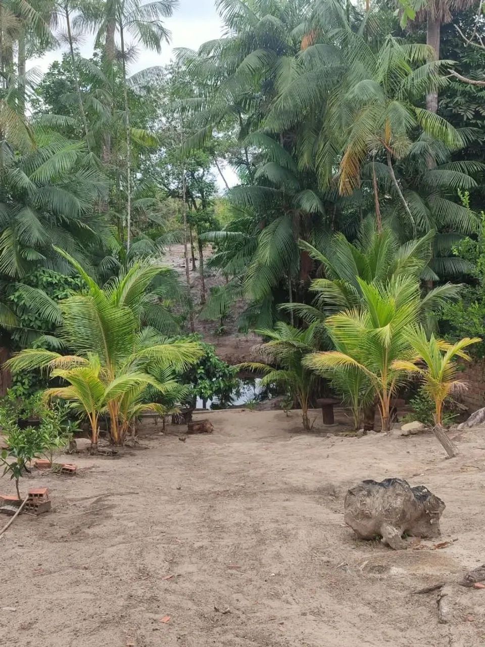 Vendo Sitio em Morros - Foto 4