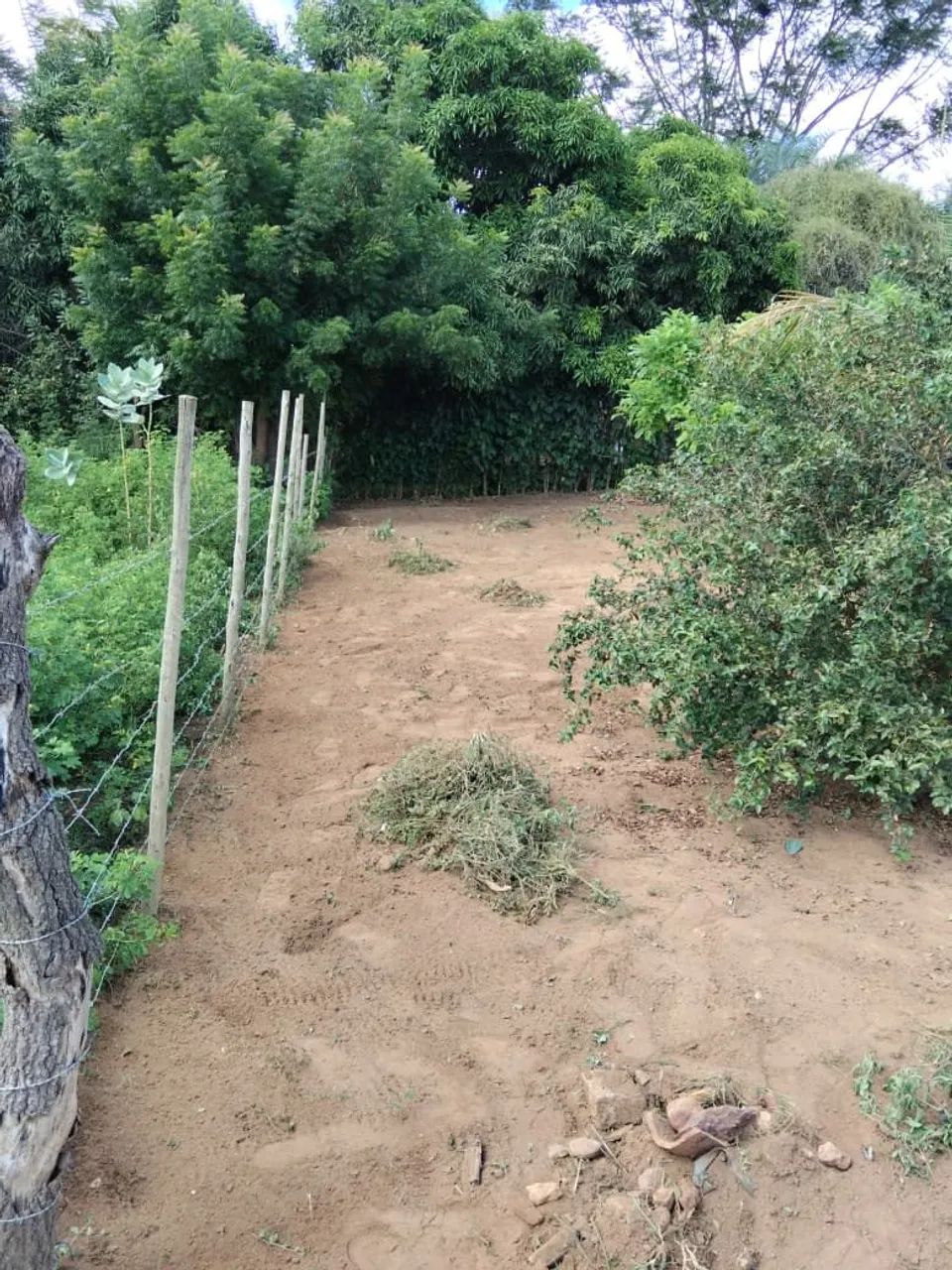 TERRENO 1200 M², ÁREA ÚTIL 900 MST² - Foto 3