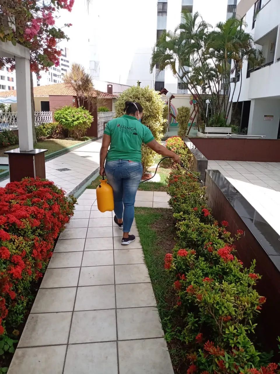 Dedetização desratização Sergipe  - Foto 5