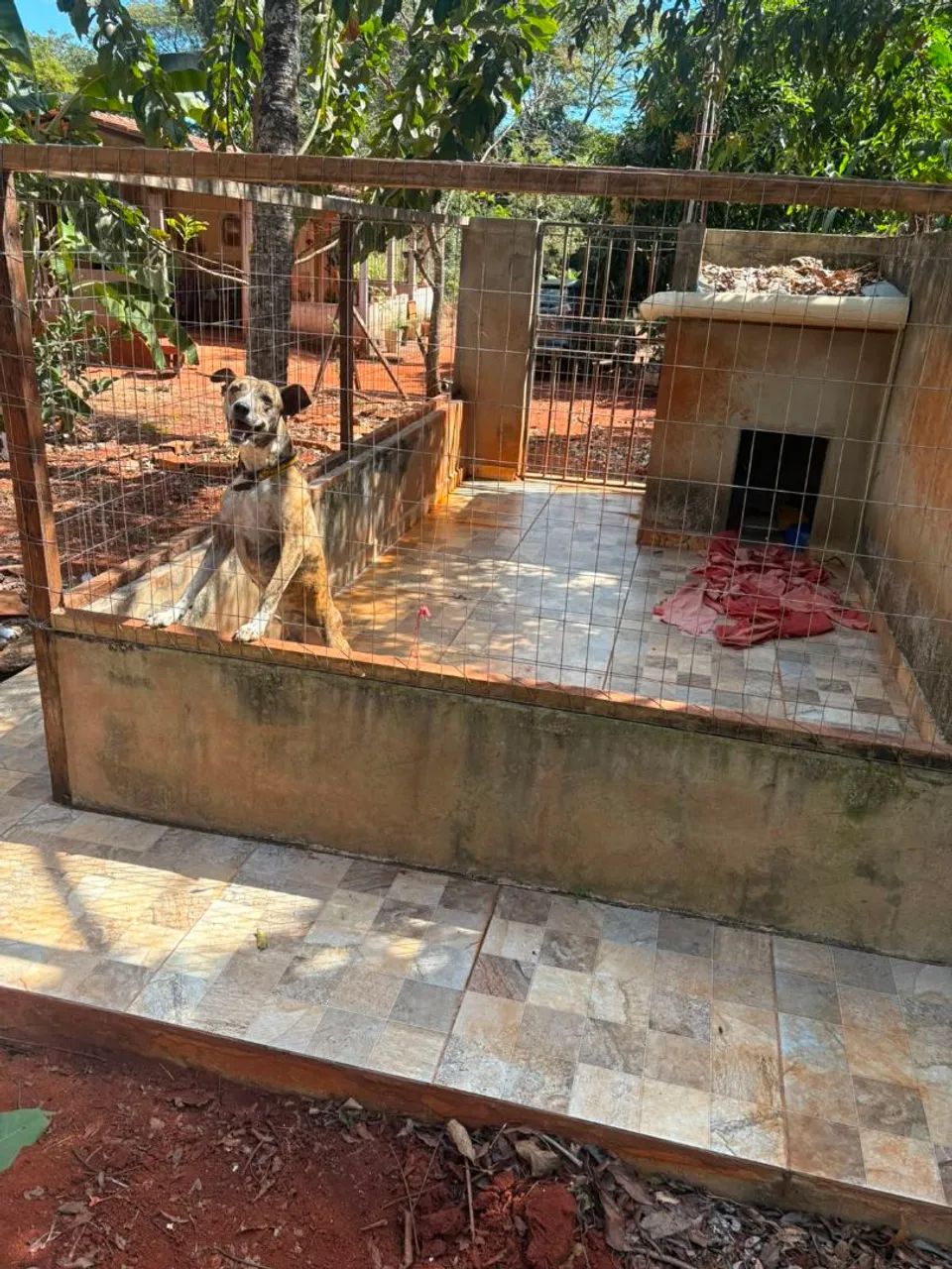 Oport  - Vendo 2 Lotes em Condomínio - Foto 4