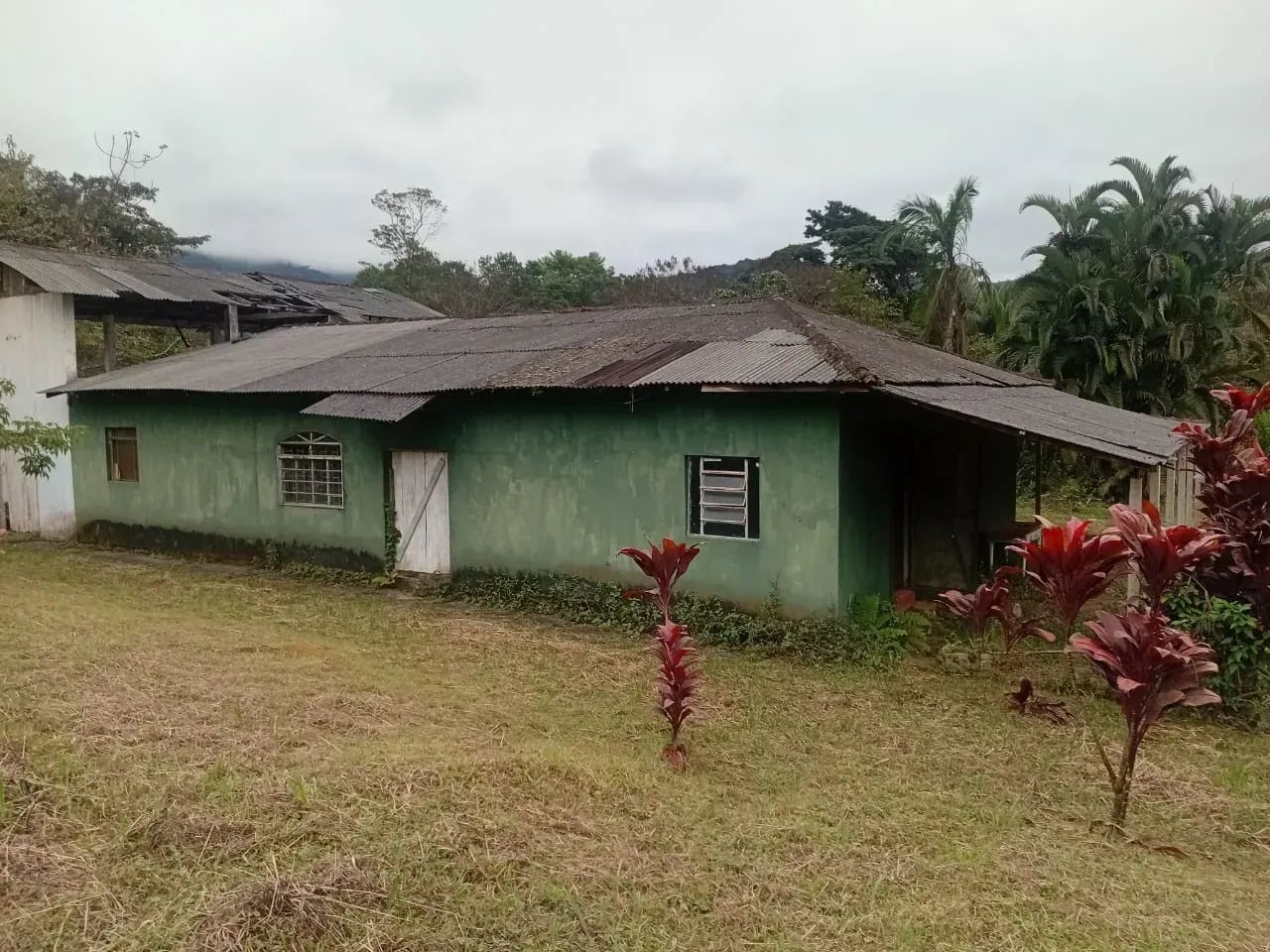 Chácara à Venda em Potinga  Guaraqueçaba/PR - Foto 3