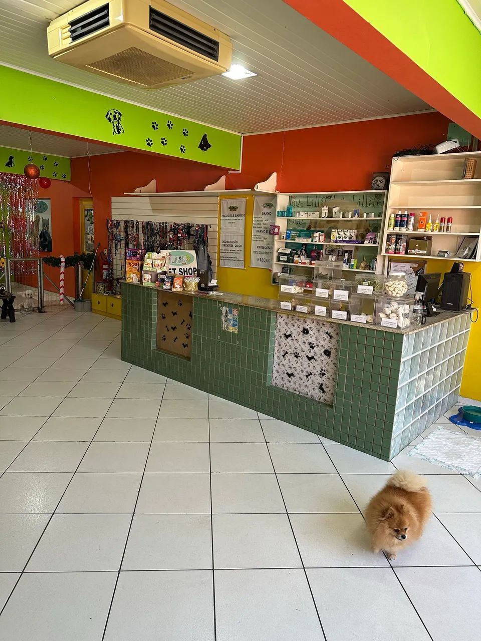 PASSO PETSHOP E CONSULTÓRIO VETERINÁRIO COMPLETO  - Foto 5