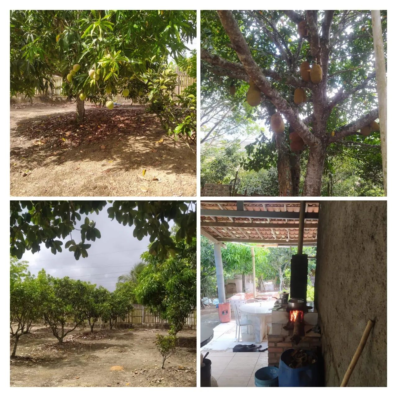 Sítio em salgado - Foto 5