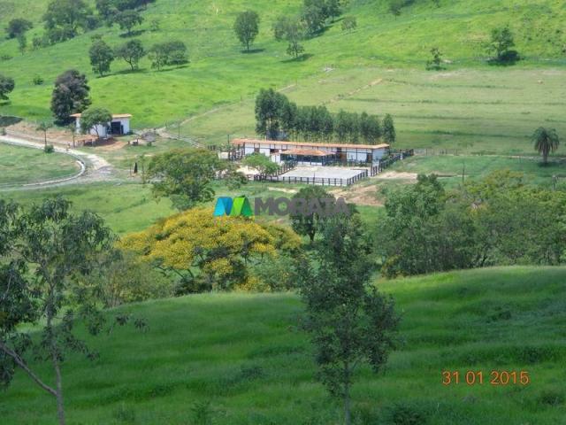 Fazenda à venda - 1.180 hectares - região jequitibá (mg) - Foto 13