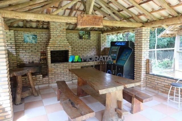 Fazenda haras - 63.000 m2 - região lagoa santa (mg) - Foto 7