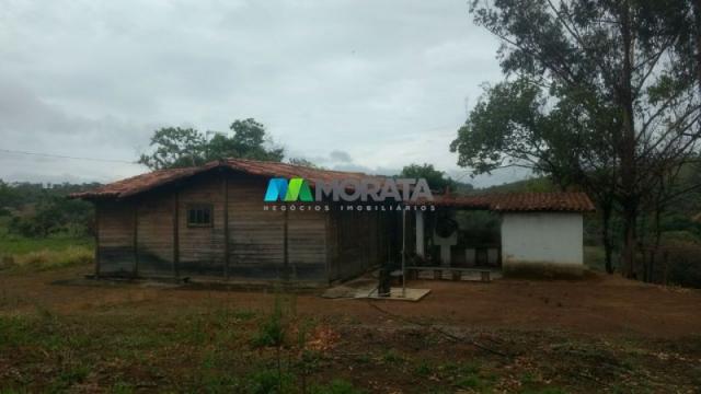 Fazenda à venda - 163 hectares - paraopeba (mg) - Foto 7