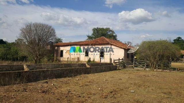 Fazenda à venda - 100 hectares - sete lagoas (mg) - Foto 13