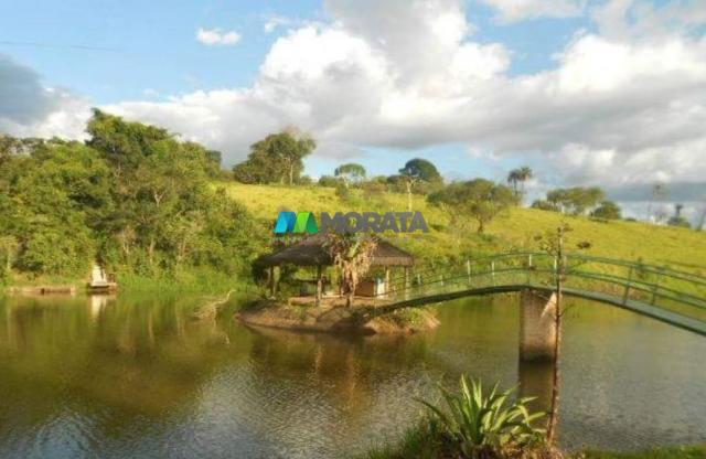 Fazenda / haras à venda - 16 hectares - brumadinho (mg) - Foto 11