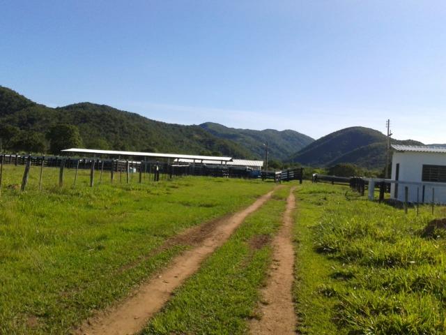 Fazenda - 981 Hectares - Cuiabá/MT - Foto 5